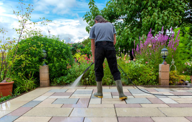 Best Restaurant Pressure Washing  in Newbern, TN